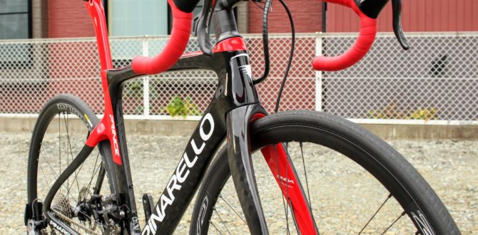 PINARELLO PRINCE DISK SUPER RECORD EPS 718/CARBON RED(シャイニー) 2019