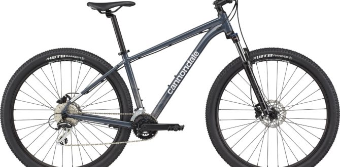 CANNONDALE TRAIL 6 Slate Gray 2021