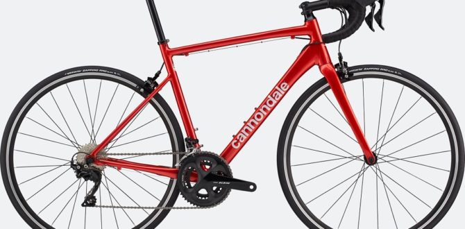 CANNONDALE CAAD OPTIMO 1 2022 Candy Red